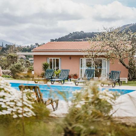 Forno House - Ameixoeira Vila Praia de Âncora Εξωτερικό φωτογραφία