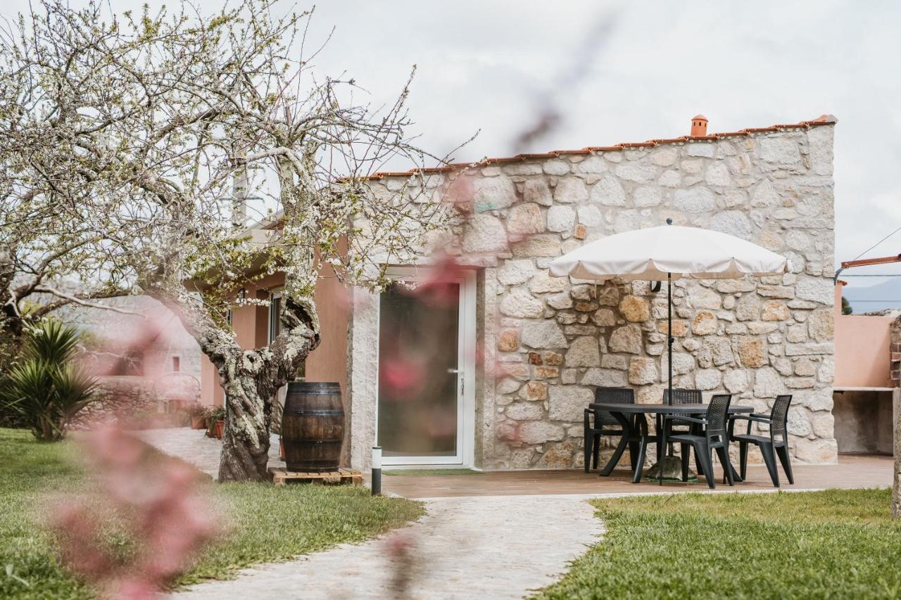 Forno House - Ameixoeira Vila Praia de Âncora Εξωτερικό φωτογραφία